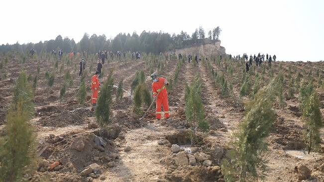 63秒丨全年义务植树1100万株！2021年潍坊将推进“绿化七大攻坚行动”