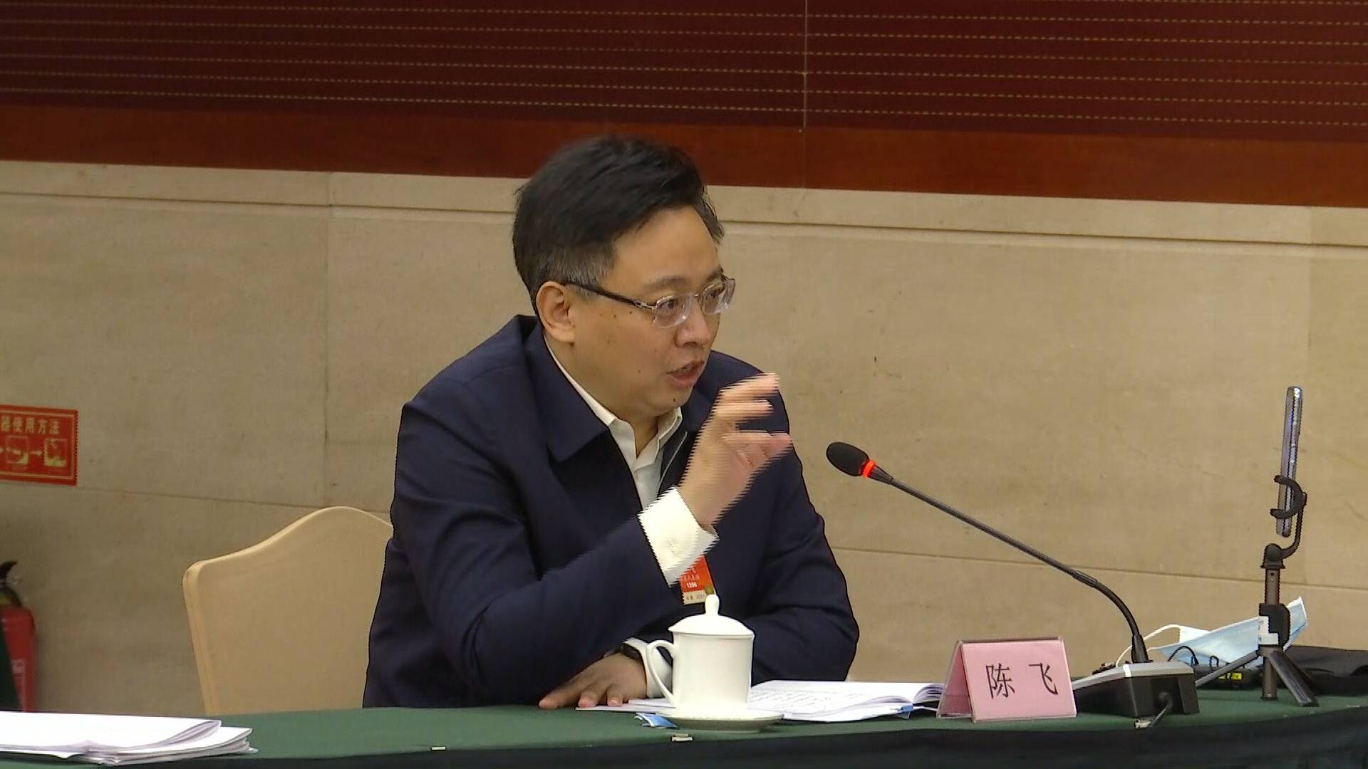 全国人大代表陈飞：一项技术转化为成果 既要加强政策的引导更要注重发挥市场的作用