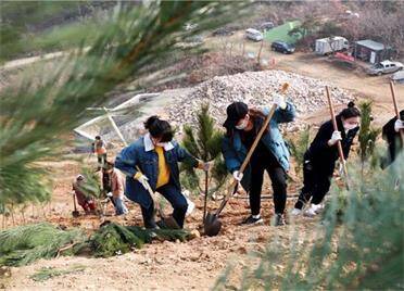 填一抹盎然的綠意！威海環翠區張村組織600余名志愿者開展義務植樹活動