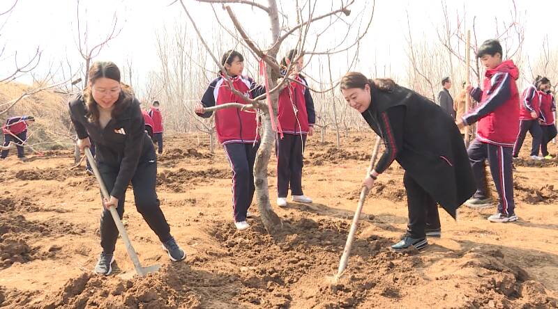 101秒｜把绿色种在春天！济南钢城区开展植树节主题实践活动