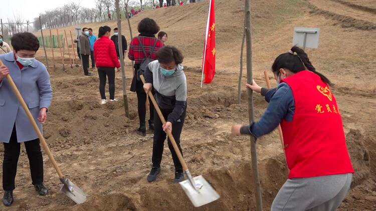 116秒｜植树节来临！聊城东阿600余人齐参与 为黄河母亲种下一片绿