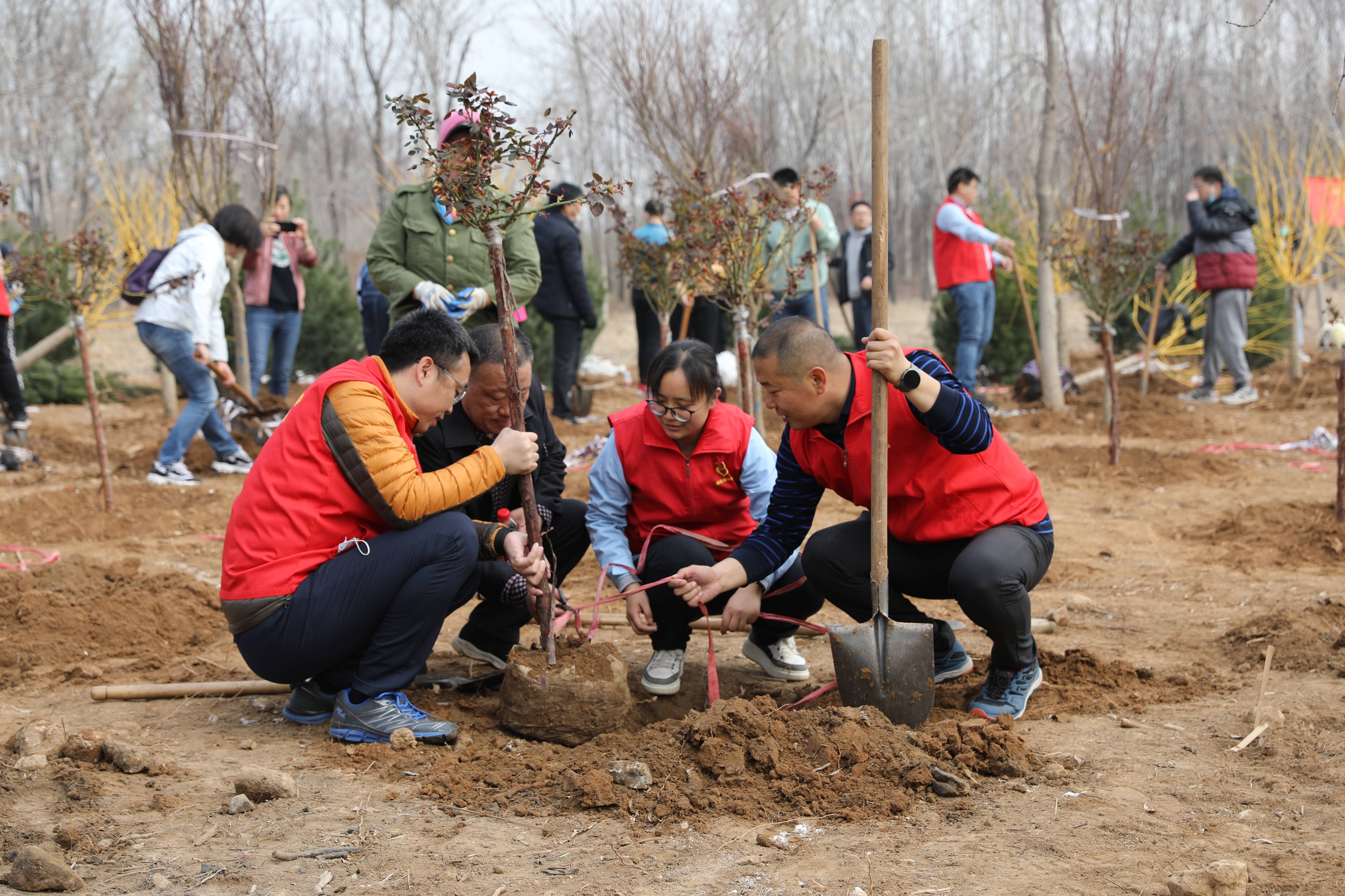 团省委开展“美丽中国 青春行动” 青年植树活动
