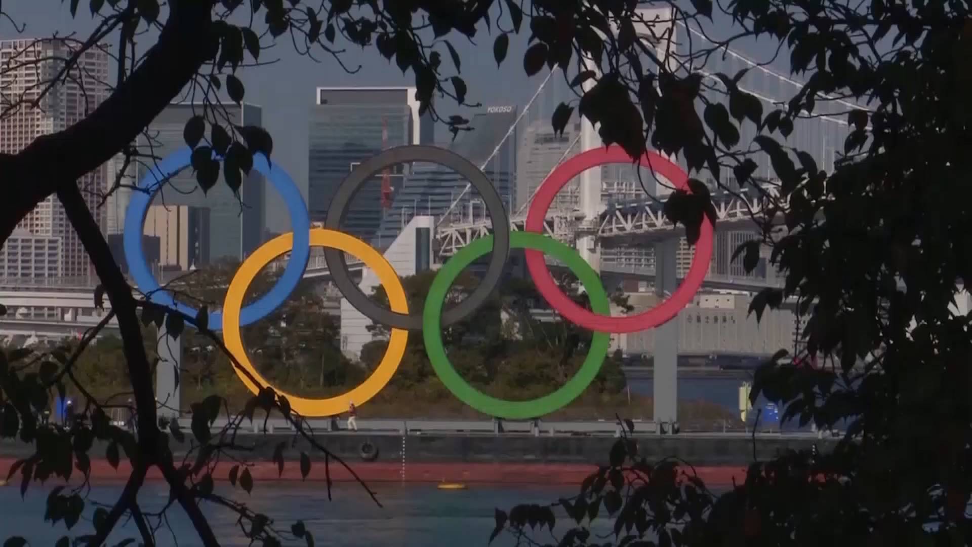 64秒｜日本限定奥运期间赴日的国家元首或政府首脑及随行人员不能超12人