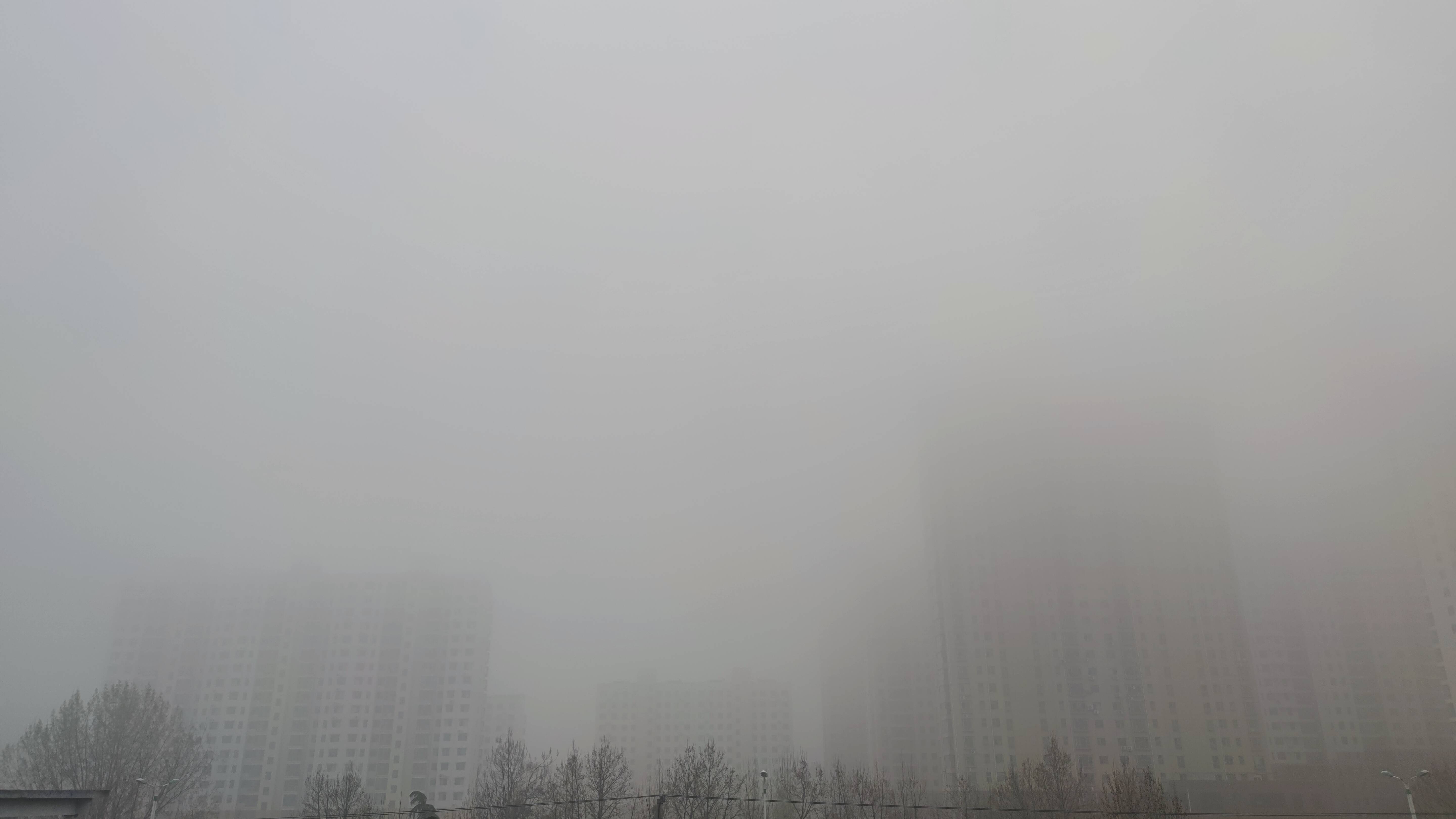 临沂发布大雾橙色预警 局部地区能见度小于50米
