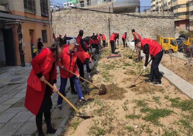 党建引领打造红色物业 威海高新区组织党员志愿者义务植树500余株