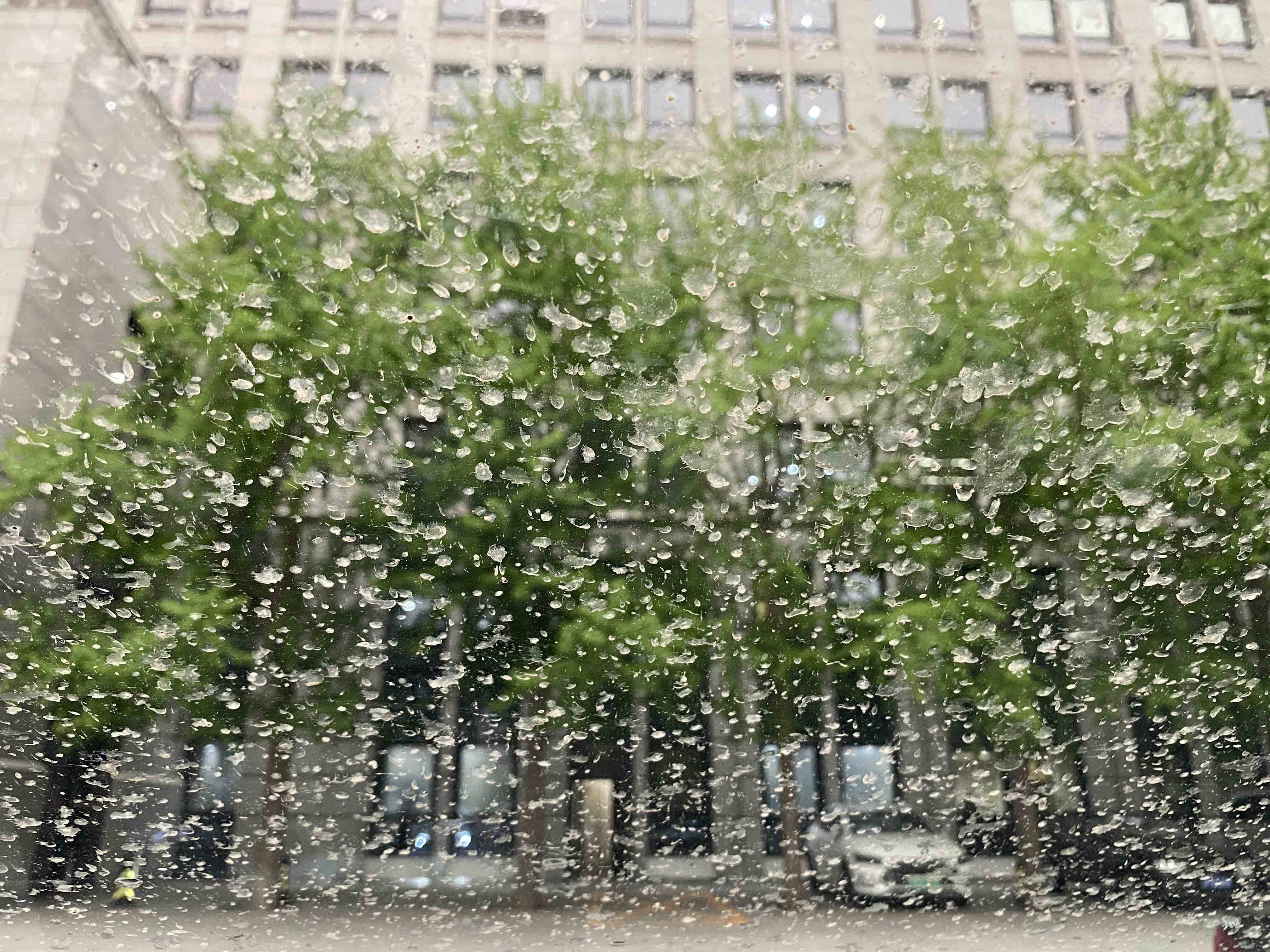 北京出現沙塵、大風和局地雷雨(圖)