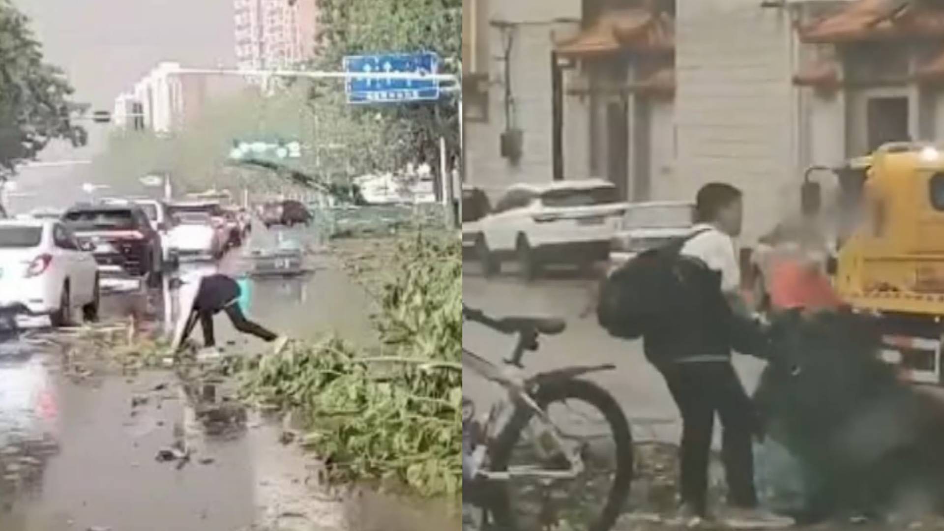 34秒｜好樣的！風雨交加后 河北兩少年放學路上清理擋路樹枝