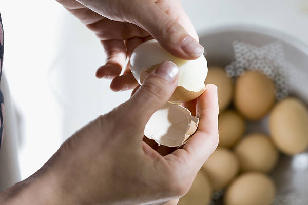 闪电评论丨熟蛋返生孵雏鸡？学术研究容不得“烂鸡蛋” 
