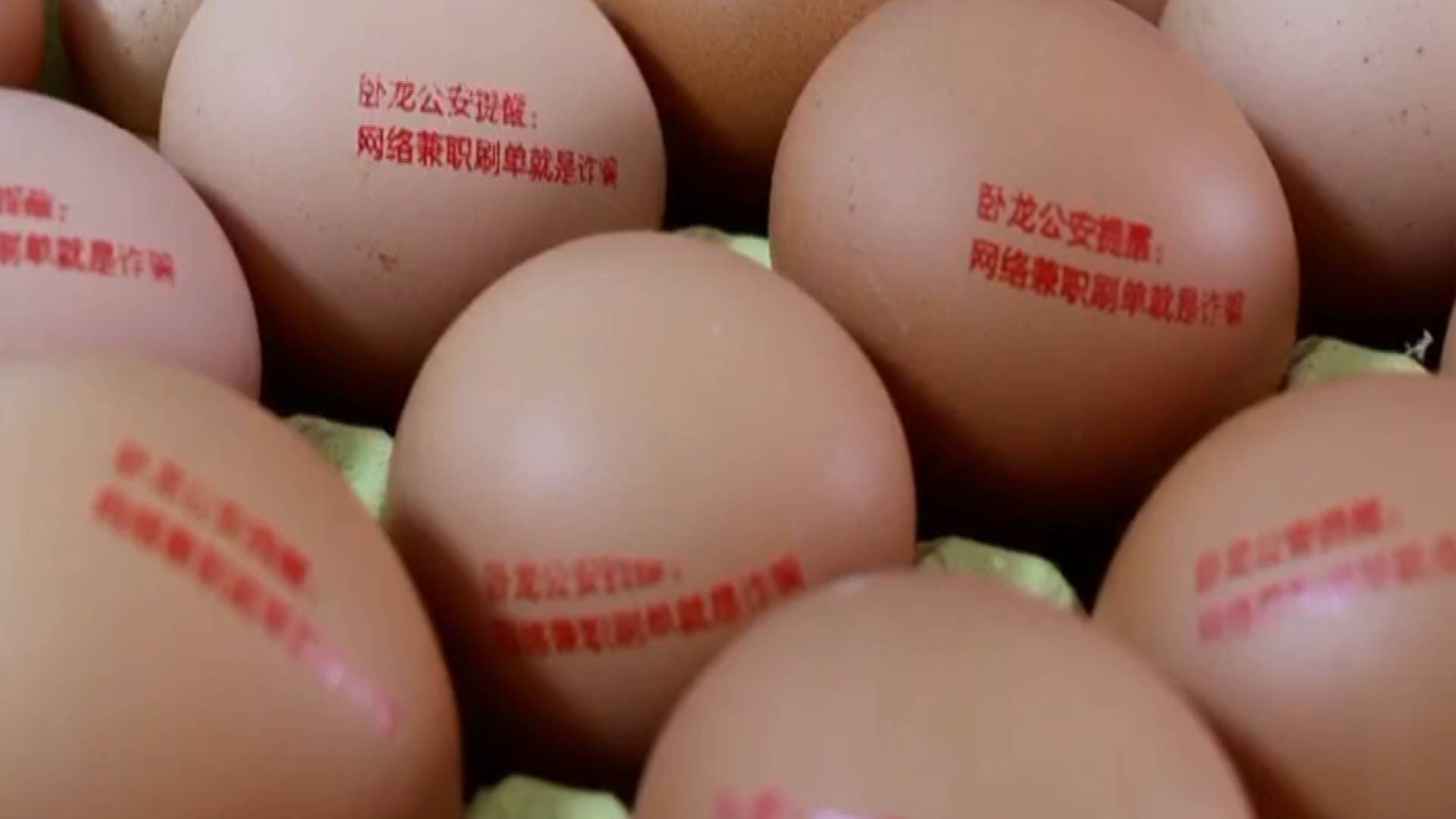 33秒｜河南民警为市民发防“诈”蛋获点赞 鸡蛋本蛋：我是一颗为反诈操碎了心的蛋
