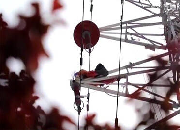 山东电力人输电塔上撑起“小红伞” 保电网稳定安全与鸟儿和谐相处
