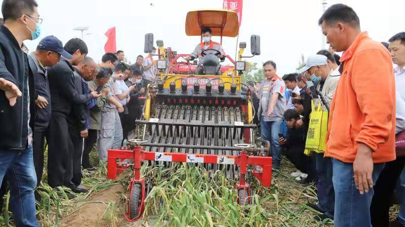 国内11家大蒜机械生产企业齐聚济宁金乡 吸引全国农机专家围观