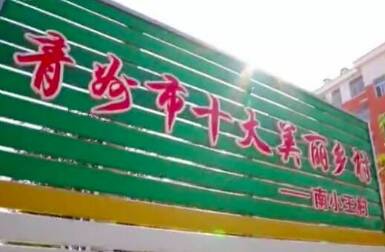 青州市南小王村：大棚里“种”出小康生活