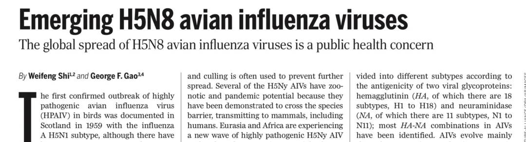 新发H5N8禽流感病毒可造成人感染，山东第一医科大学教授《科学》发文