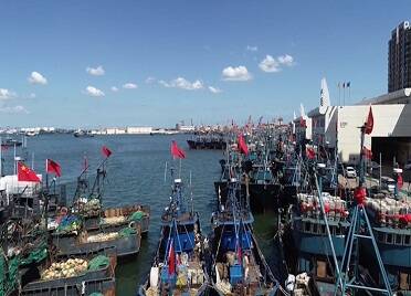 保护海洋渔业资源！威海荣成夯实责任 严格落实伏季休渔管控工作