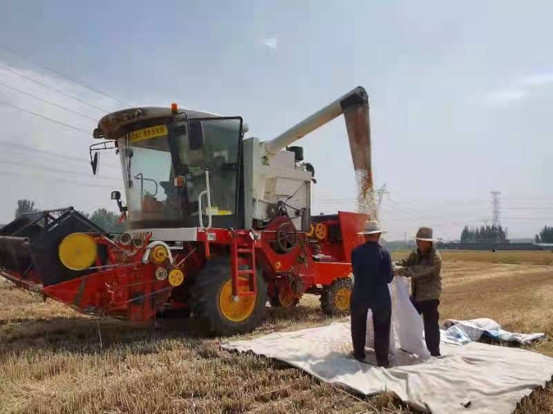 河东区：麦收全程机械化 助力“三夏”生产
