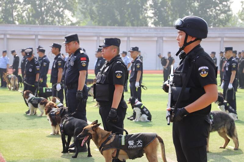 “猛犬”来袭！济宁警方举办警犬技术力量跨区域应急处突拉动训练