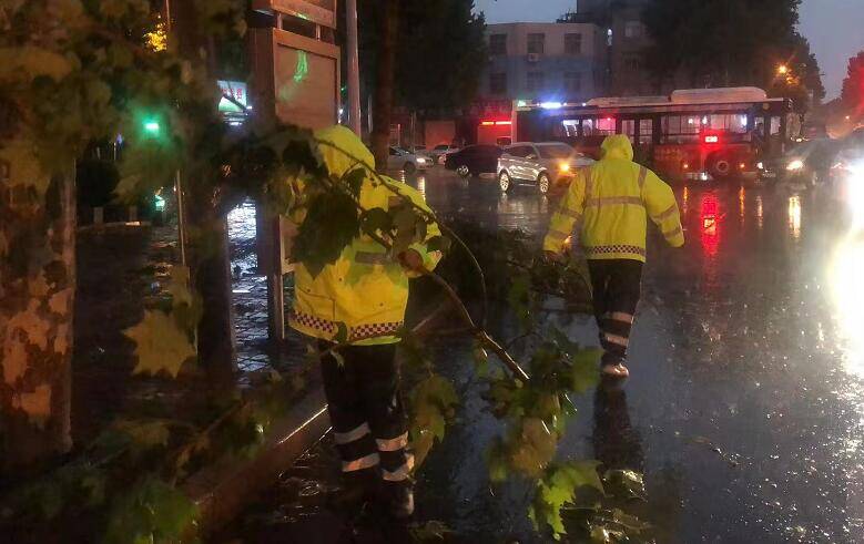 强降雨过后，临沂城区防汛人员正在加紧清理倒伏树木