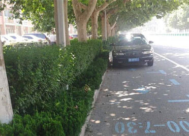 @潍坊人，“小蓝框”内停车不能任性 这些乱停车辆被曝光