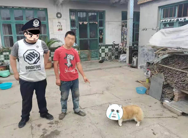 潍坊一村民的柯基犬被偷 沿街门店一块反光玻璃成破案关键