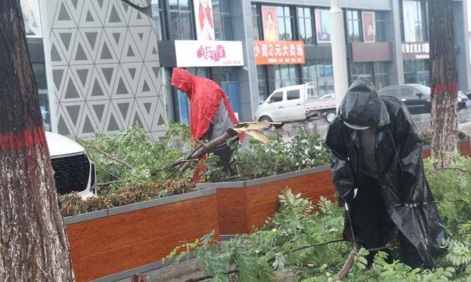 狂风暴雨来袭 滨州沾化区综合行政执法局冒雨抢险保畅通