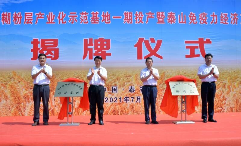全球首条万吨级小麦糊粉层产业化示范线在泰安投产