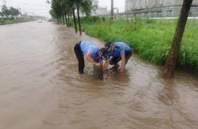 濱州無棣公安交警在積水路段疏通排水管道 加固防水堤壩