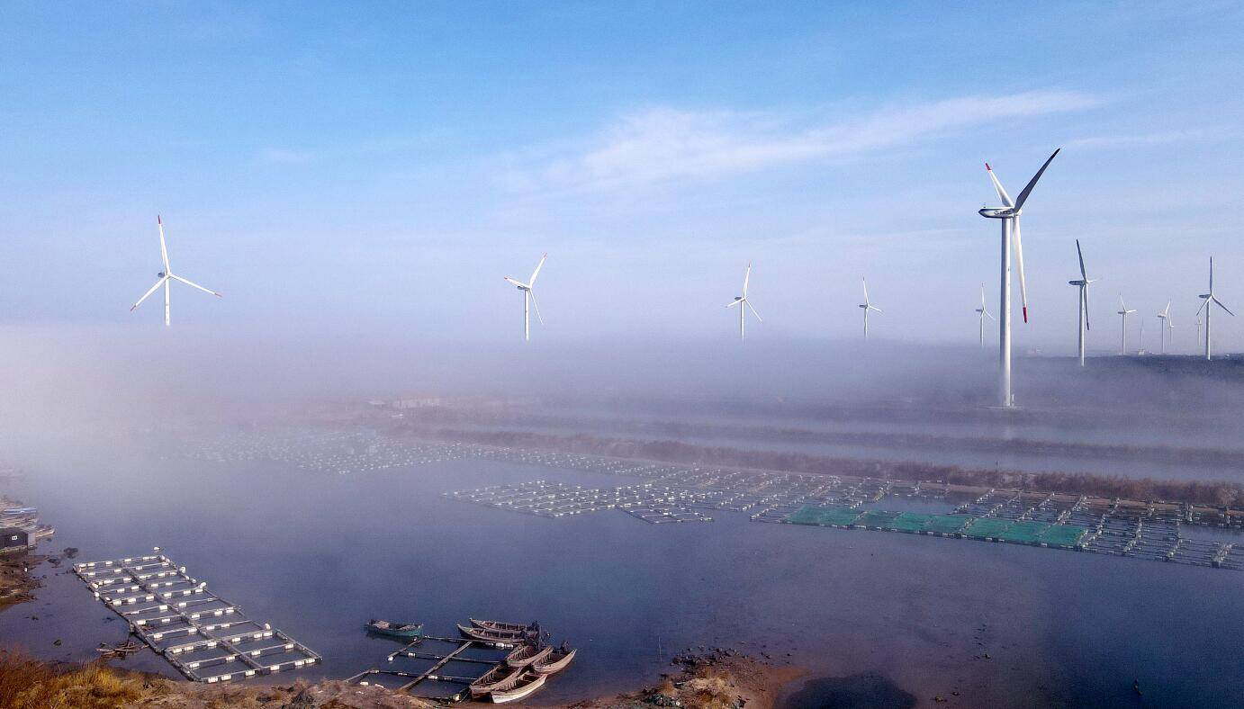 闪电深1度｜被副省长挂牵的渤中海上风电，背后是山东加速能源绿色转型的大魄力