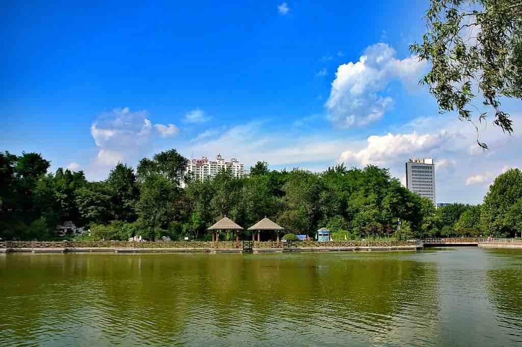 权威发布｜调整为272个！淄博全域公园建设忙 城乡处处是花园