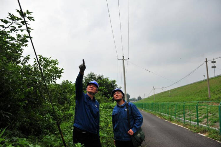 国网青州市供电公司开展10千伏线路走廊清理和综合检修攻坚行动