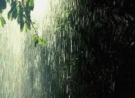 山东大范围降雨持续 过去三天全省平均降水量62毫米 最大降雨量位于菏泽东明