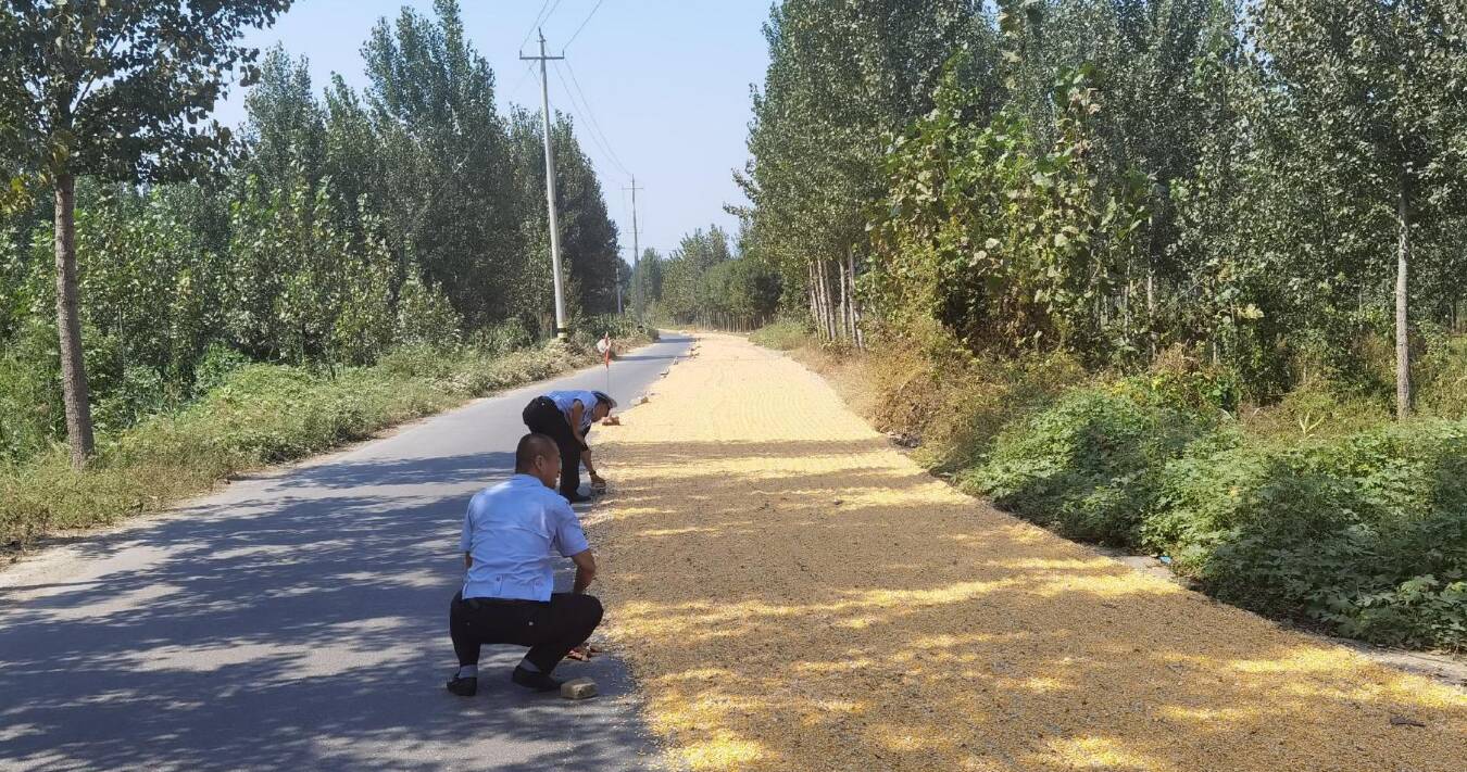 村民把公路当成“晒粮场” 滨州交警及时清理打场晒粮交通违法行为