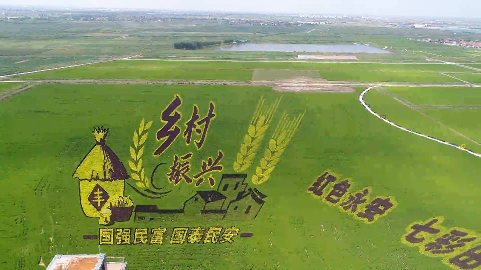 我家住在黄河边｜3D稻田画频上热搜！垦利“稻蟹混养” 让新农民获得感满满