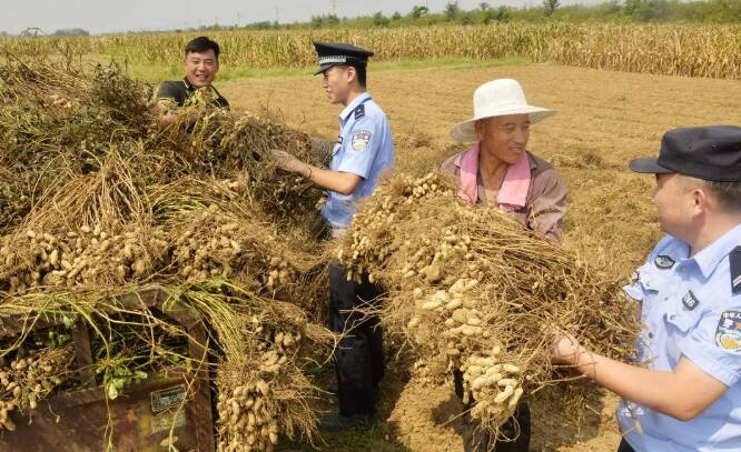 枣庄流动的“警察蓝”守护百姓“果盘子”和“米袋子”