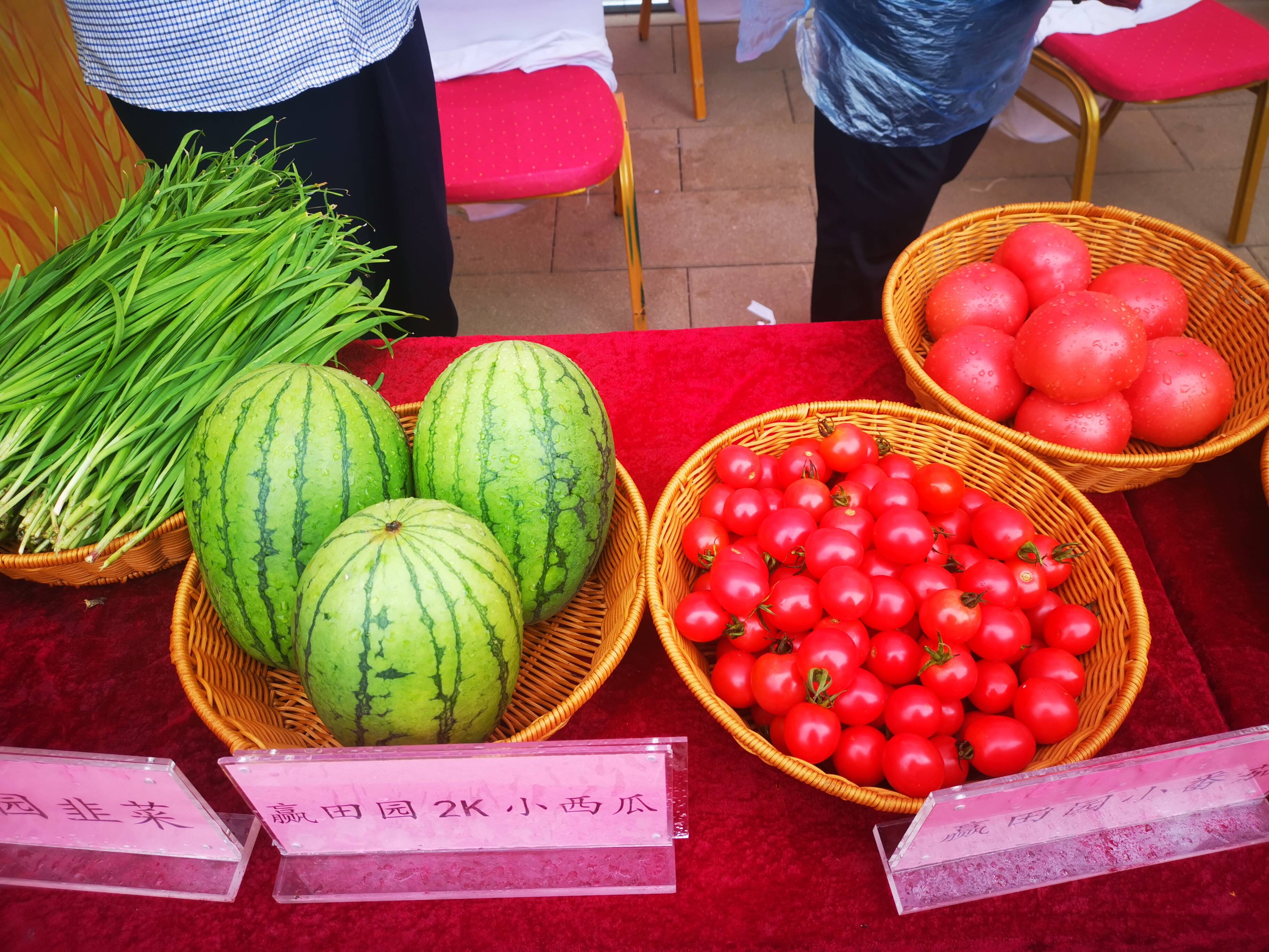 瓜果蔬菜农产品轮番登场！2021年莱芜区丰收节开幕