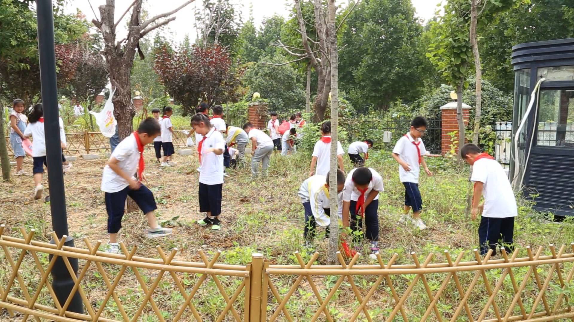 体验劳动，感受丰收！看枣庄学校里的“校园丰收节”