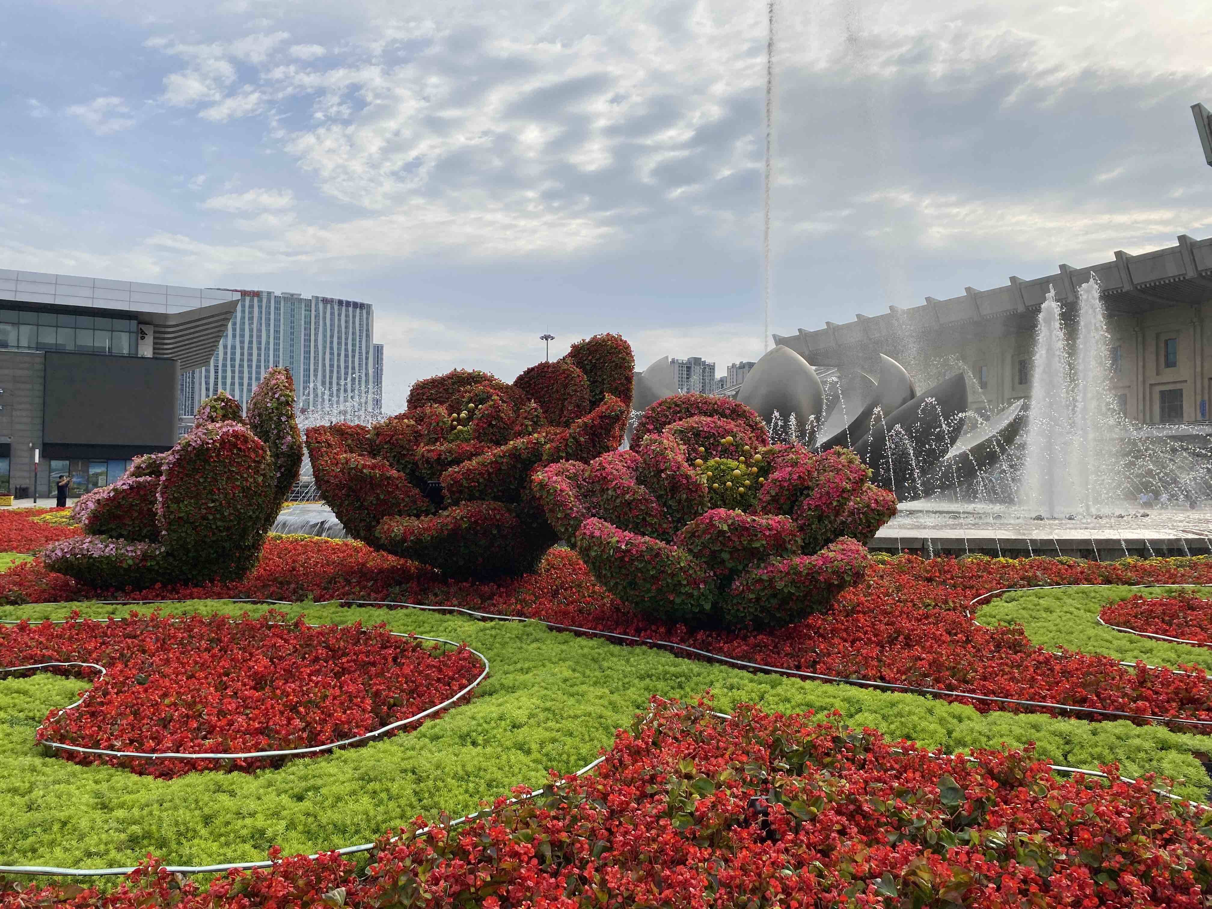 20余万盆花卉、裸眼3D全新升级…济南槐荫区鲜花盛装迎国庆