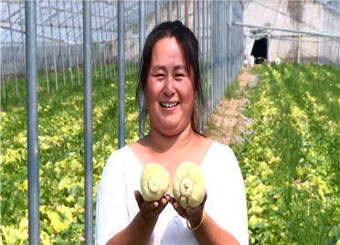 青州银瓜从“一季鲜”变为“四季甜”