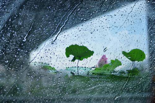 闪电气象吧丨@东营人，今日仍有零星小雨相伴 出门记得携带雨具