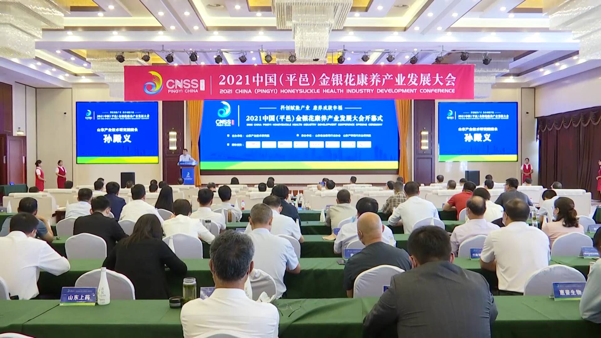 2021中国（平邑）金银花康养产业发展大会开幕