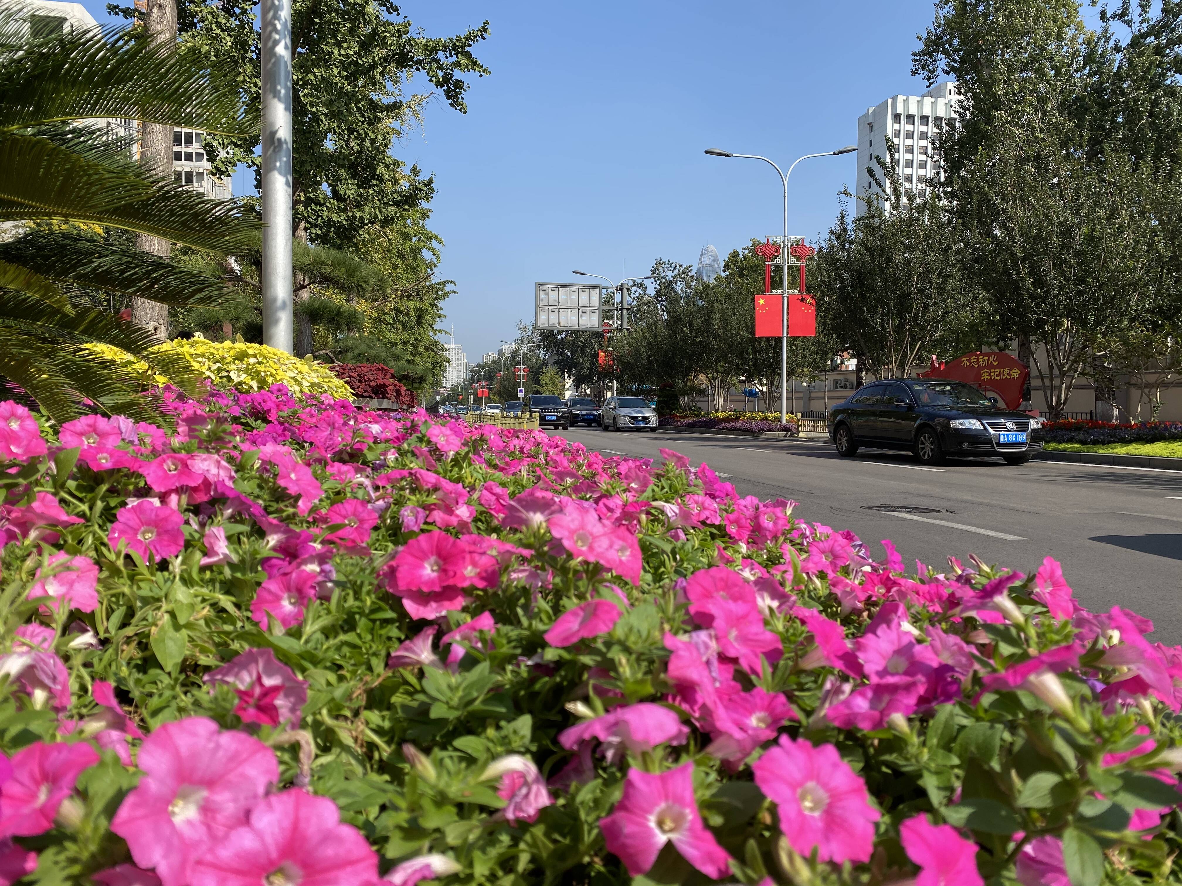 国旗鲜花扮靓街头！济南市市中区街头洋溢“中国红”
