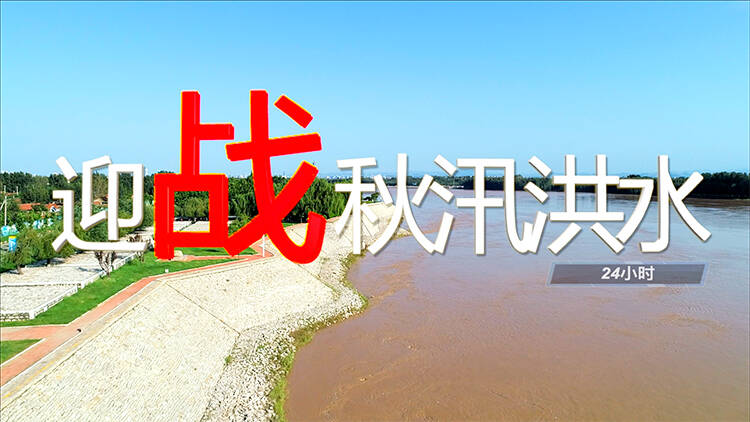 独家视频｜迎战秋汛洪水！镜头记录黄河德州齐河段的24小时
