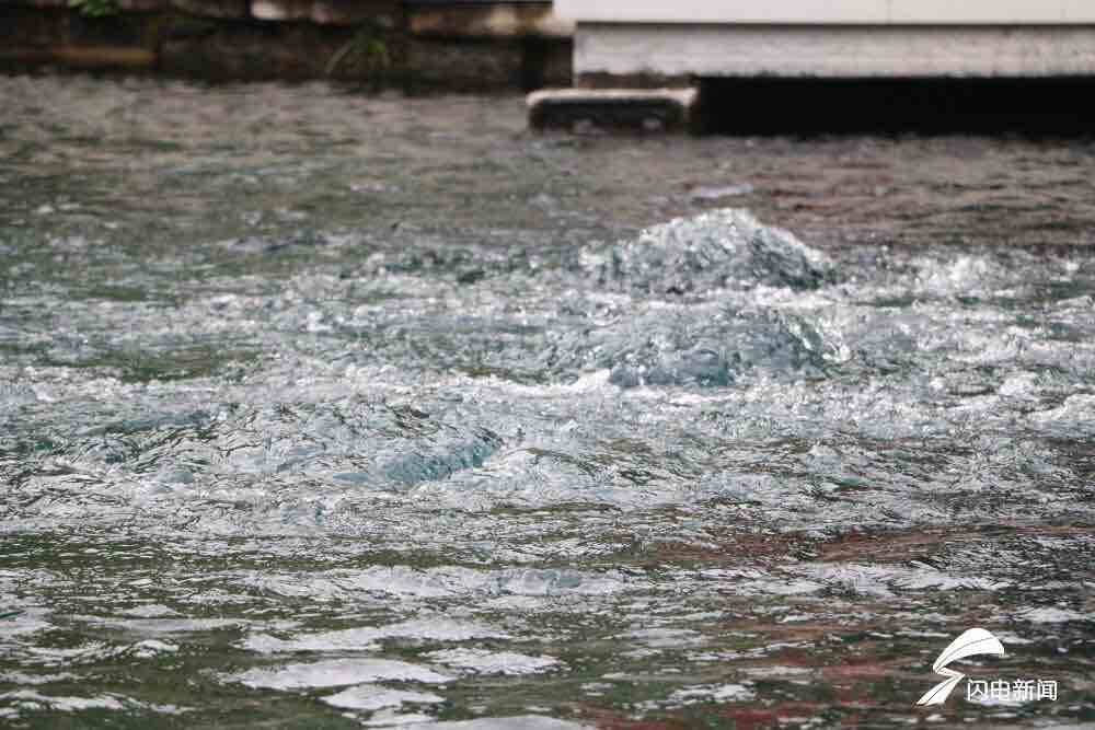 30.04米！济南趵突泉破30米大关 成为56年来最高水位