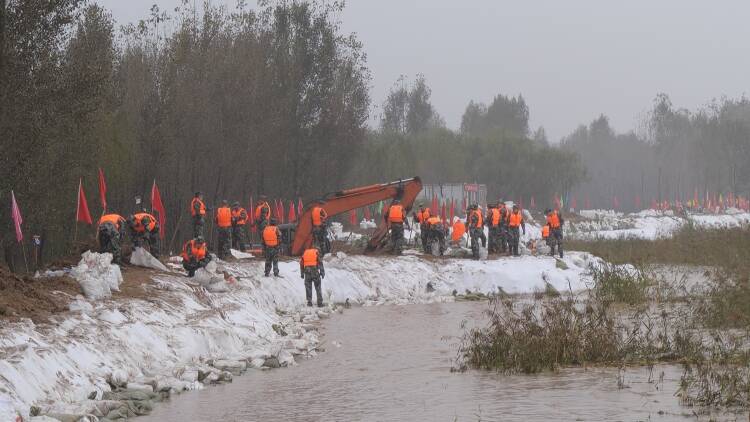 东营区：黄河生产堤8天“长高”2米多