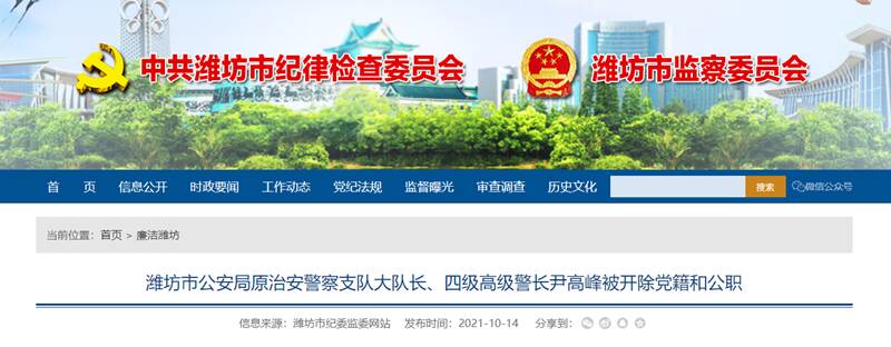潍坊市公安局原治安警察支队大队长、四级高级警长尹高峰被开除党籍和公职