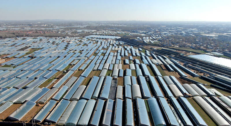 壮观！空中俯瞰临沂市沂南县30万亩蔬菜“棚海 ”