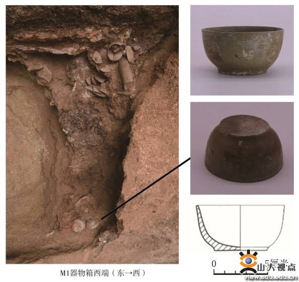世界最早茶叶！山东大学考古团队将茶文化追溯提前了三百多年