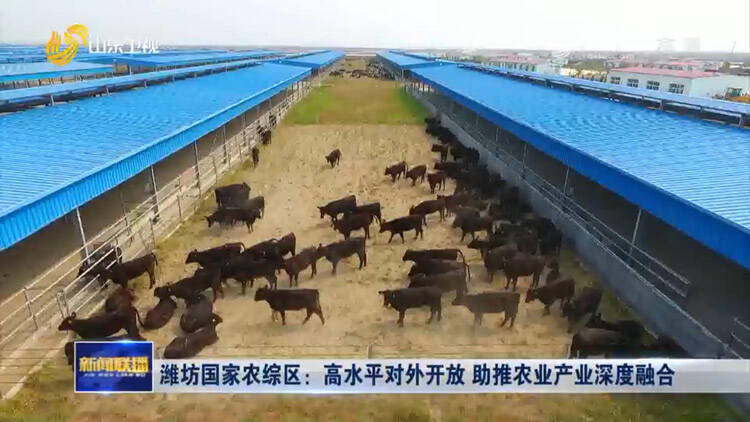 潍坊国家农综区：高水平对外开放 助推农业产业深度融合