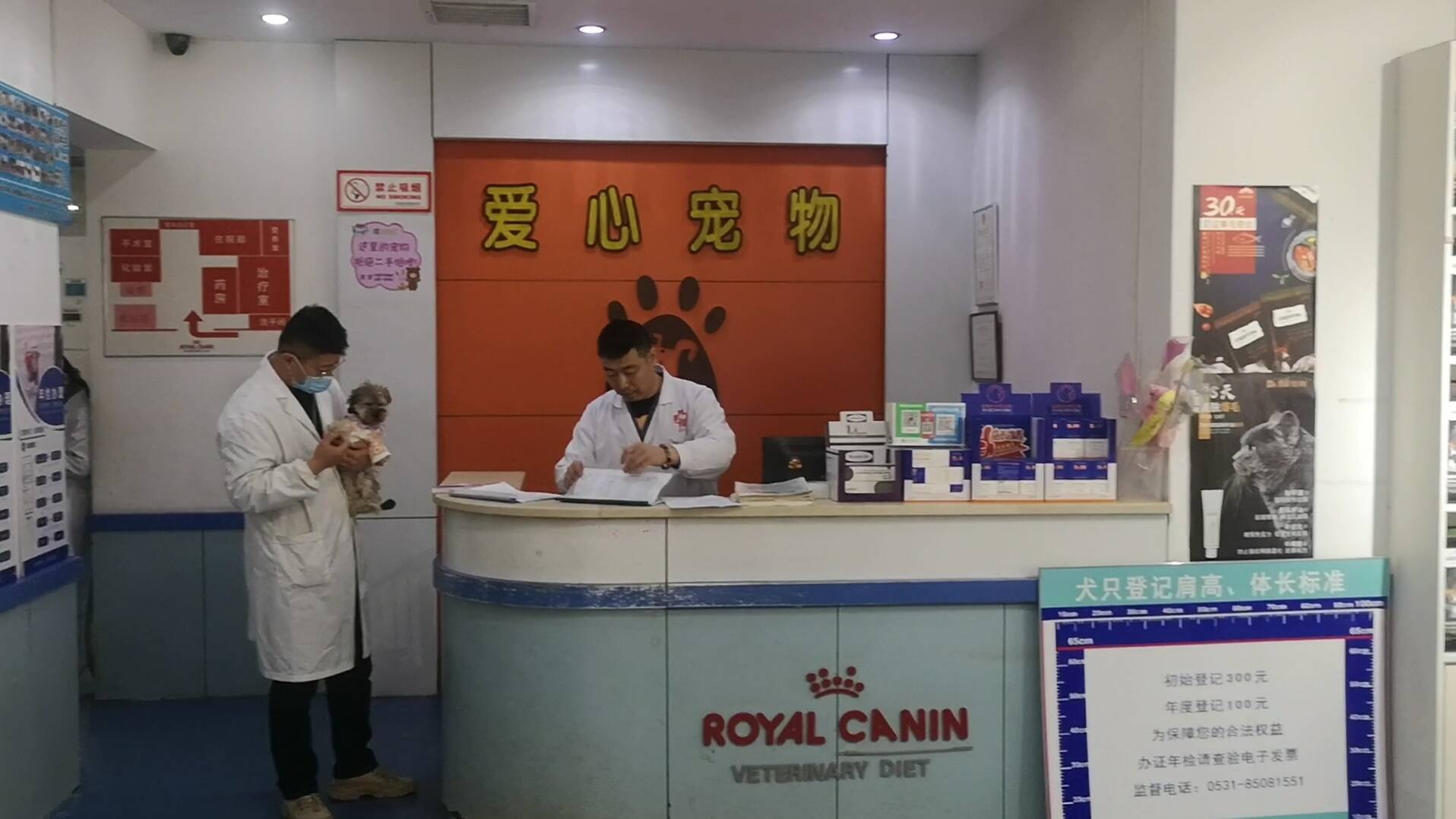 济南33家动物诊疗机构设为养犬登记服务点 市民可就近办理