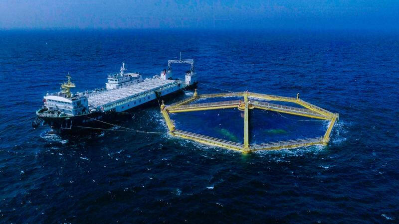 【星辰大海】青岛建设深远海养殖试验区 筑牢海上粮仓