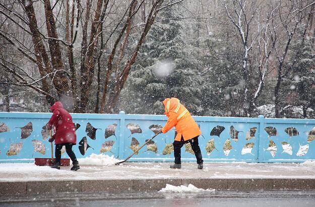 2022年第一场雪来临！临沂城管全力做好清雪保畅工作